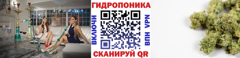 Конопля THC 21%  купить наркоту  Яблоновский 